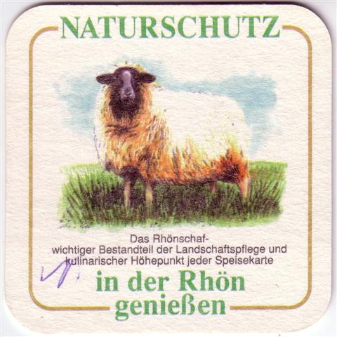 kaltennordheim wak-th rhn tiere 1b (quad180-rhnschaf)